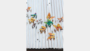 지붕 위의 나비[고양이 눈]