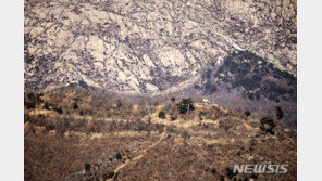 “北, 실수한 일엔 전통문 답신 안해”…靑·軍 ‘우발적 사건’ 단정