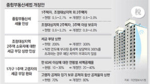 종부세 인상안, 올해 적용 어려울듯