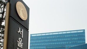 80대 노모 폭행 혐의 50대 아들 구속…“증거인멸 우려”
