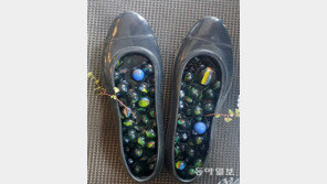 검정 고무신의 변신[고양이 눈]