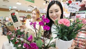 ‘어버이날’, 부모님 가슴에 카네이션 달게 된 유래 [청계천 옆 사진관]