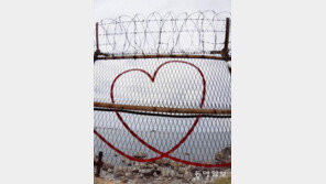 철조망의 하트[고양이 눈]