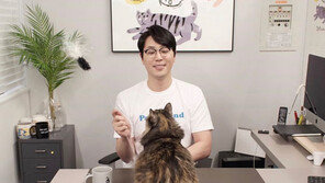 손인사 한번에 유기동물에 사료 기부…포인핸드 챌린지 시작