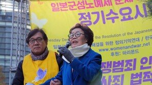 이용수 할머니 “30년 투쟁 오류·잘못 극복해야”…정의연 논란에 입장