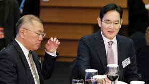 ‘게임 체인저’로 성장할까…미래車 놓고 손잡은 이재용-정의선