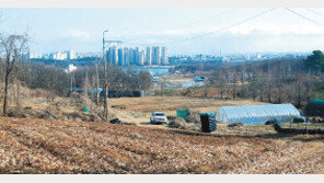 3.3㎡ 최대 79만원… 의왕 초평동 그린벨트 토지