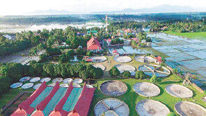 장어 양식장 투자로 월 70만원 수익 창출