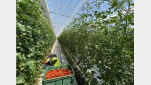 태성그룹, ㈜나린과 함께 TS나린스마트팜발전소 사업 전개