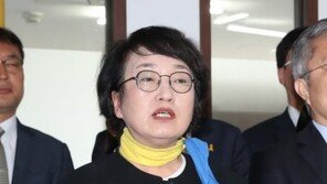 열린민주, 원내대표 김진애 추대…최고위원 황희석 등 5명