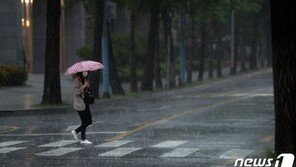 [날씨]19일 전국에 많은 비 계속…낮기온 20도 아래로