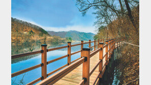 골프장 옆 한적한 전원주택 단지