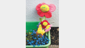 꽃가족[고양이 눈]