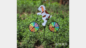 바람개비 자전거[고양이 눈]