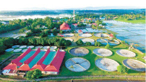 국내 최대 장어양식장 투자자 모집