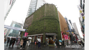 서울 땅값 8% 올랐다…명동 ‘네이처리퍼블릭’ 1㎡당 2억