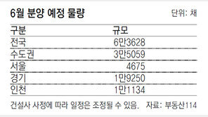 부동산 규제 앞두고… 내달 수도권 3만5000채 분양