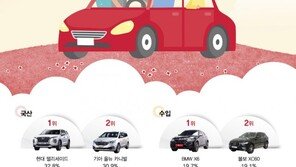 팰리세이드·X6, ‘가족들과 타고 싶은 패밀리카’ 선정
