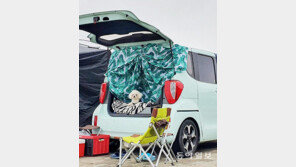 오랜만의 캠핑[고양이 눈]