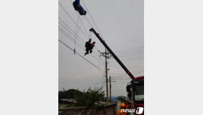 패러글라이딩 50대 전깃줄에 걸려…30분 만에 구조