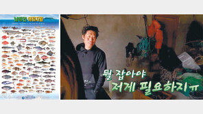 물고기 안 잡혀도 실망 마세요… 실력 아닌 기후 탓이랍니다