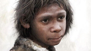 네안데르탈인 멸종 사건, 범인은 호모사피엔스