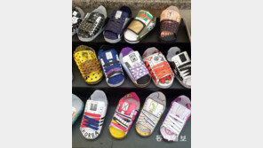 내 발에 맞을까?[고양이 눈]