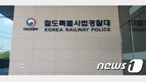 서울역서 30대女 묻지마 폭행…“CCTV 없어 수사 난항”