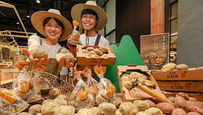 현대백화점 “감자처럼 생긴 감자빵 맛보세요”
