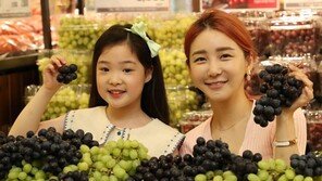 “씨없는 블랙 포도 맛보세요”