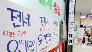 심상찮은 강남권 전세… “보증금 감당안돼 월세 끼고 재계약”