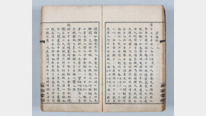 다산 둘째 아들의 흑산도 기행일기 발견했다