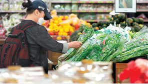 5월 소비자물가 ―0.3%… 8개월만에 마이너스로