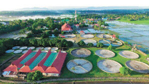 장어양식장 투자로 월 100만원 수익