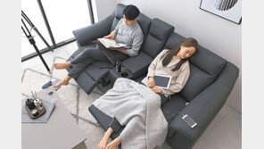 “집콕 느니 소파를 바꾸고 싶네”… 코로나로 가구업체 깜짝 호황