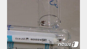 러시아 시베리아 지역 코로나19 이어 살인 진드기 창궐