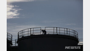 “日정부, 후쿠시마 원전 ‘피난 지시 구역’ 제염없이 해제할 듯”
