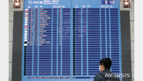 화물·국내선으로 버틴다 해도…항공업계 여전히 ‘살얼음판’