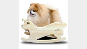 편백나무 ‘흔들의자’…반려견 마음 흔드네