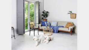 반려동물이 살기좋은 우리집…‘펫테리어’ 바꿔볼까