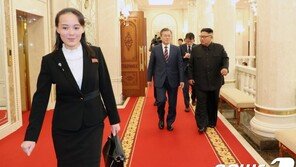 靑, 김여정 대북전단 경고에…“4·27 판문점 선언, 9·19 군사합의 지켜져야”