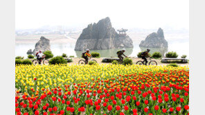 3.6km 남한강변 갈대숲 자전거길 만든다