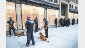 약탈 기승에… 나무판-울타리-철조망 ‘3중 방어막’