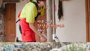‘삼시세끼 어촌편5’ 손호준x이광수, 주방보조 선후배 케미로 ‘웃음’