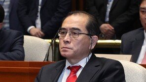 태영호 “김여정 ‘삐라 비판’ 담화, 새 도발의 전주곡일 수 있다”