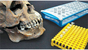 게놈으로 밝혀냈다… 3500년전 이역만리 우물서 숨진 여인의 고향