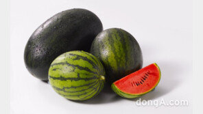 1~2인 가구용 ‘작은수박’ 전성시대… 이마트, 5kg 미만 ‘미니·조각 수박’ 판매