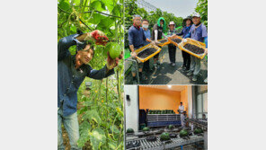 제철 과일-채소 출하