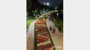 무더위가 건네는 작은 선물