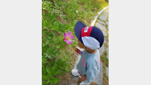 신정환, 아들 사진 공개 “꽃냄새를 아는 나이”